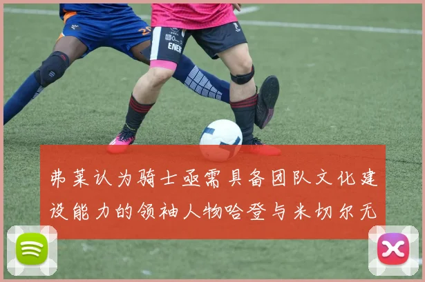弗莱认为骑士亟需具备团队文化建设能力的领袖人物哈登与米切尔无法胜任