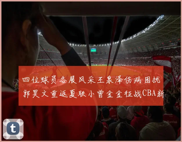 四位球员各展风采王泉泽伤病困扰郭昊文重返夏联小曾金金征战CBA新赛季