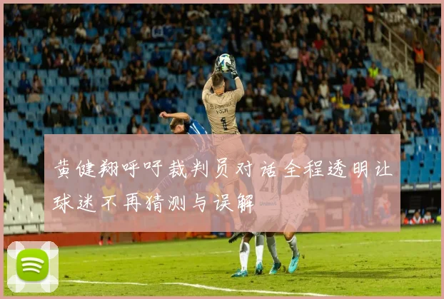 黄健翔呼吁裁判员对话全程透明让球迷不再猜测与误解